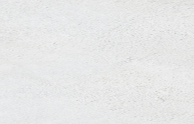 background graphic (TBD) beside the heading "HOVILPRI (pritelivir) tablets Frequently asked questions."